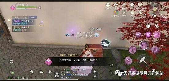  紫百合遭遇绝杀,欧战资格渐行渐远  